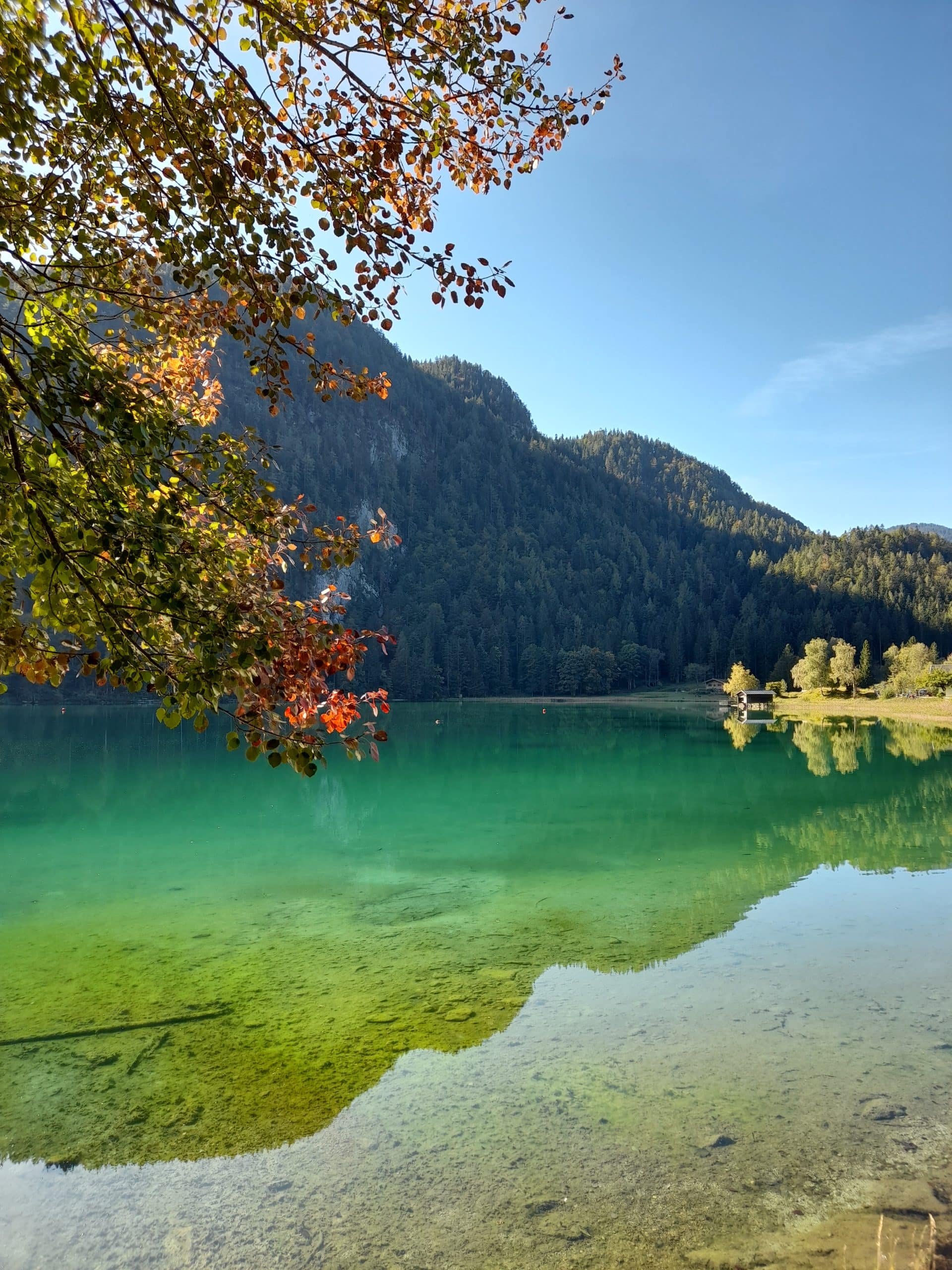 Anja Buntz Coaching ➤ Life & Mental Coaching für Frauen. Mit der Natur leben